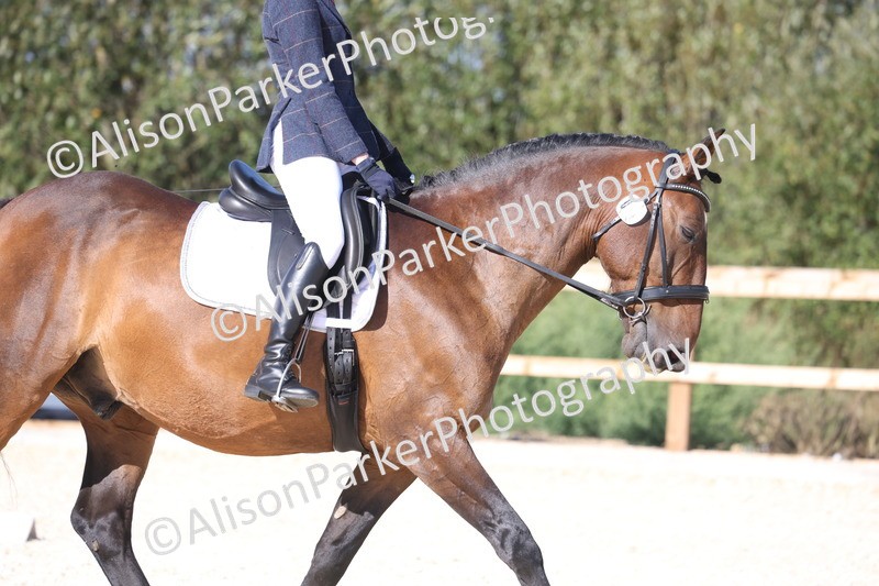 20260905-1592 - Class 5 - Novice 2