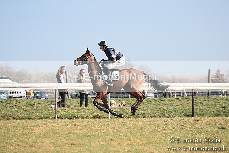 PtP 230219 27 - Vine & Craven Point-To-Point - Barbury 23/02/19