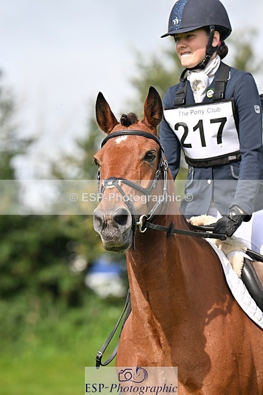 230826-105337-16752 - Sections A & B 10 to End