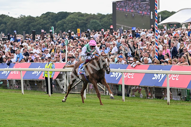 250726-Race 3-Item-7054 - Race 3 14.35pm Sky Bet York Stakes