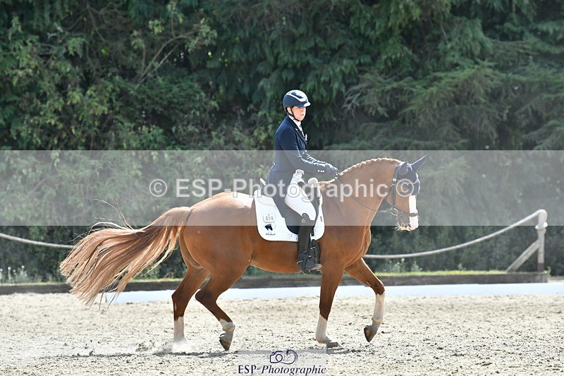 260802A-151436-07323 - Intermediate Bronze