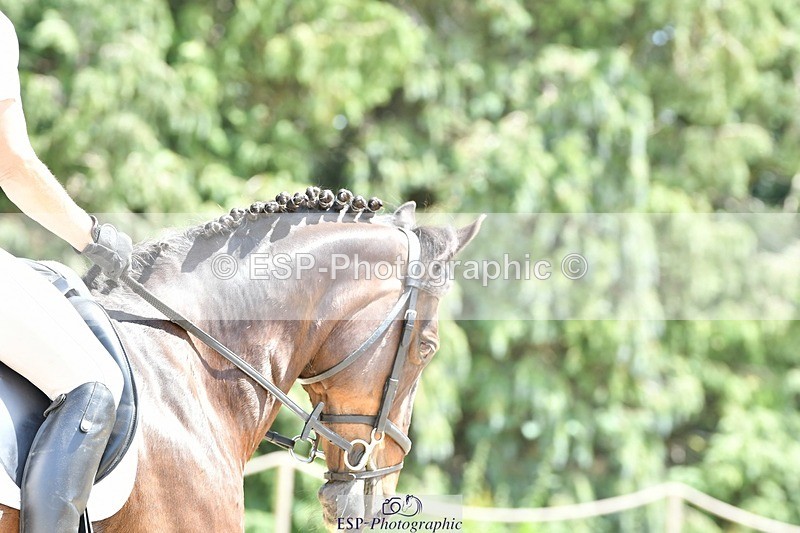 230623-135207-00857 - Cls 5 Elementary 43