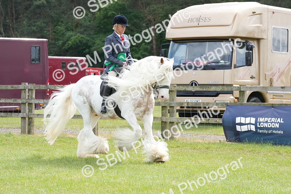 SBM_17356 - Class 107-108 - LIHS BSPS Performance Coloured Horse Pony
