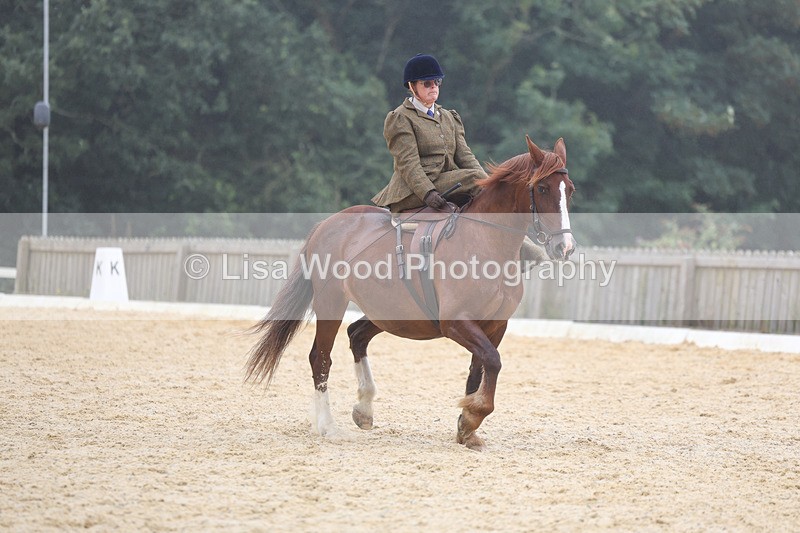 3E7A6850 - Class 5: Prelim to Music