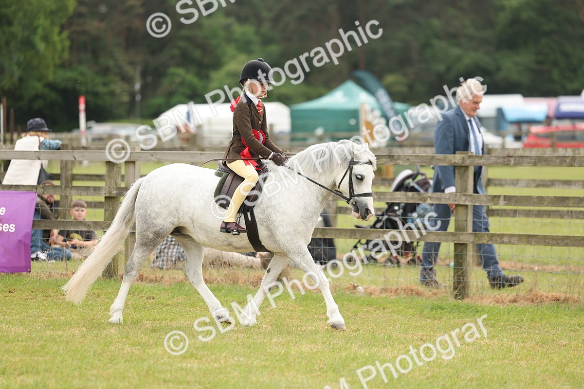 SBM_06960 - Class 74-75 - M&M Lead Rein and First Ridden Pony