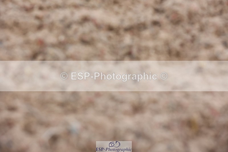 240621A-121627-00683 - Cls 12 BD Music Medium