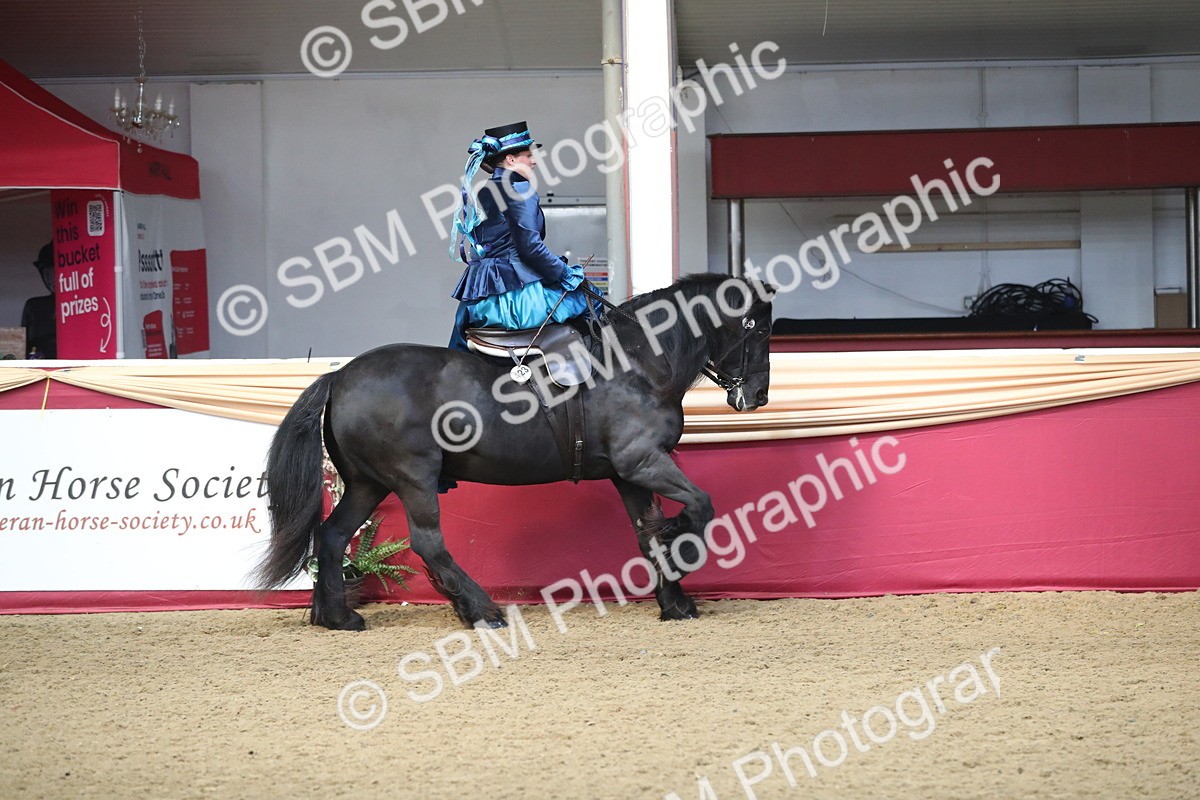 SBM_11565 - Class 105 Ridden Costume- Side Saddle