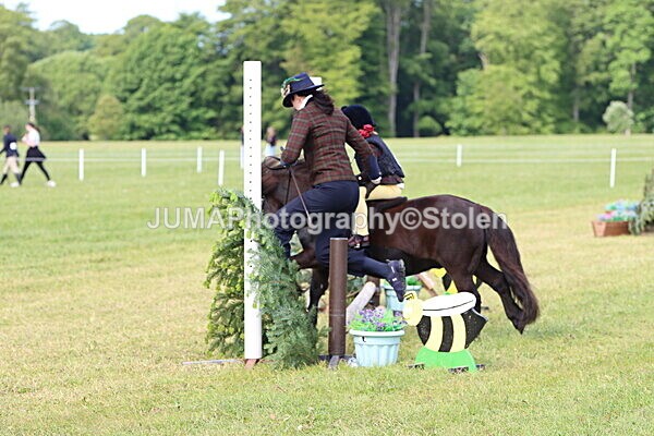 IMG_2149 - Working Hunter