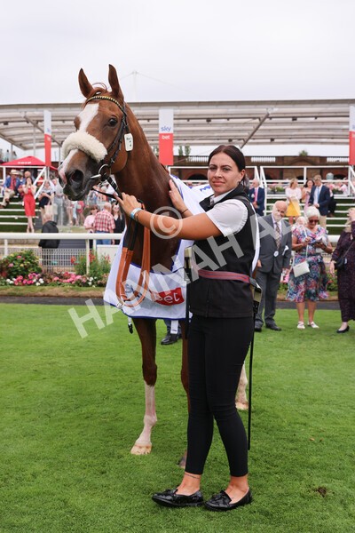 yr23072022r2-75 - Race 2 2.40pm Sky Bet Dash