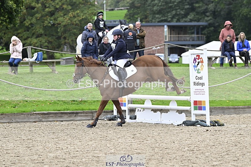 251005A-123019-03812 - Cls 08 Mini 70-75cm