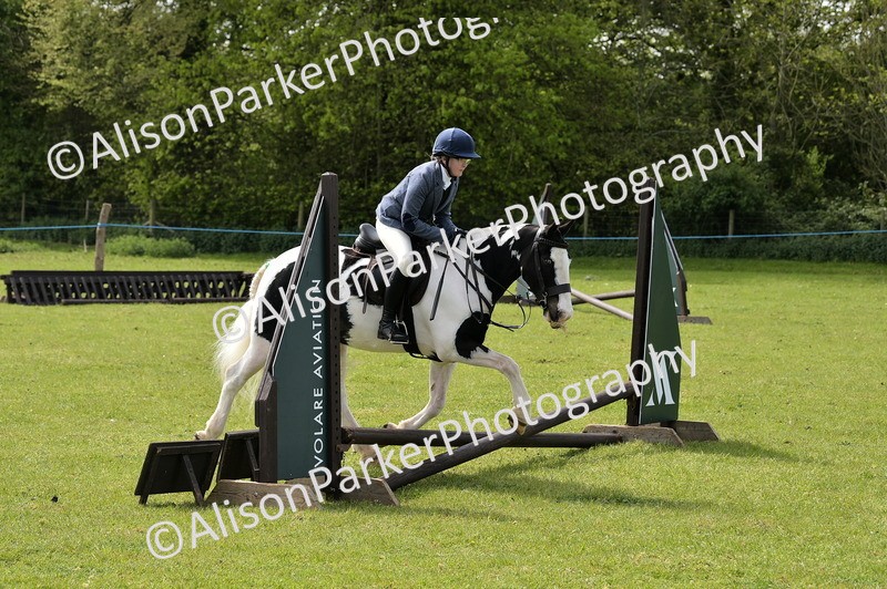 20260426-2272 - Class 20 - Beginner Working Hunter