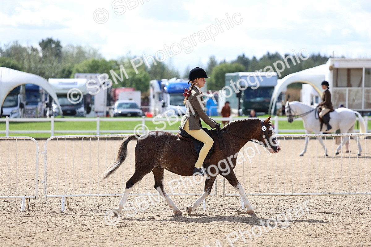 SBM_13262 - Class 311 - Ridden Show Pony Show Hunter Pony