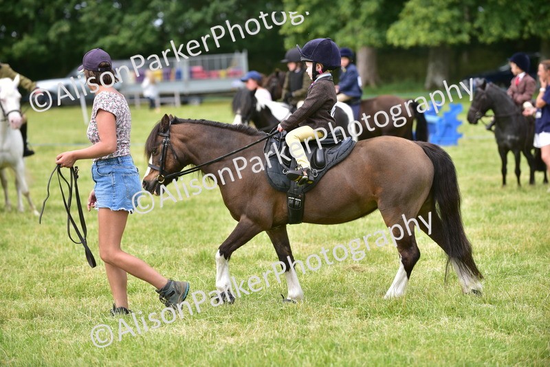20260614-3670 - Class 15 - Prettiest Mare