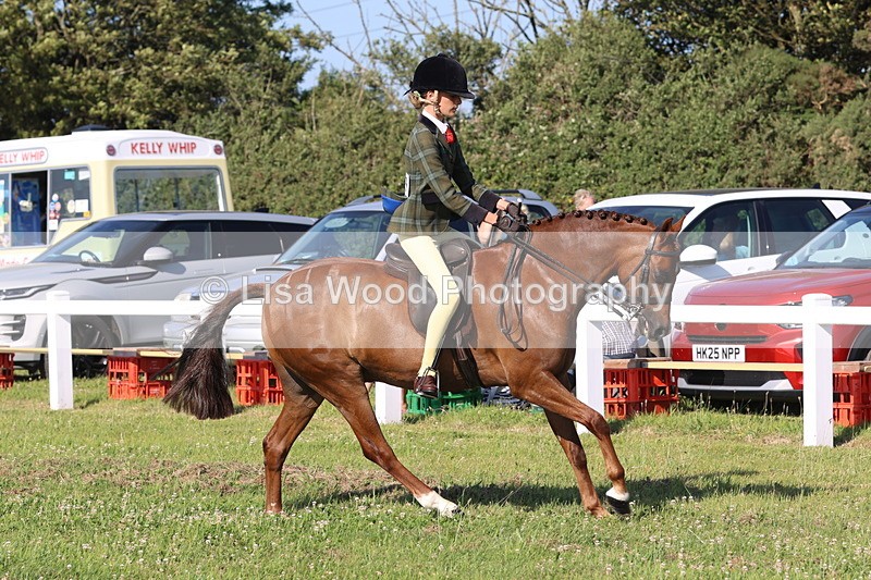 JPP_1306 - Class 18: Cornish Combination Young Rider