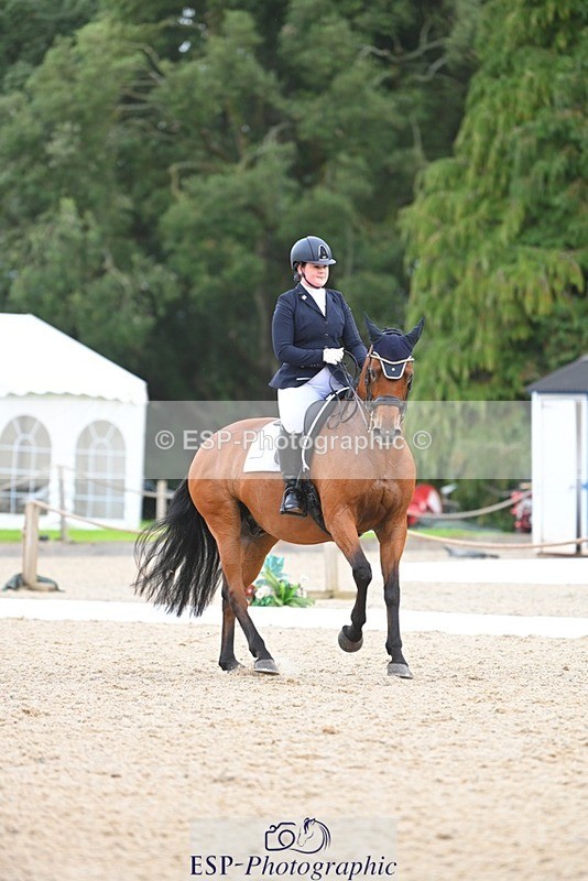 230813-132522-07557 - Cls 13 Medium Bronze 13.15 to End