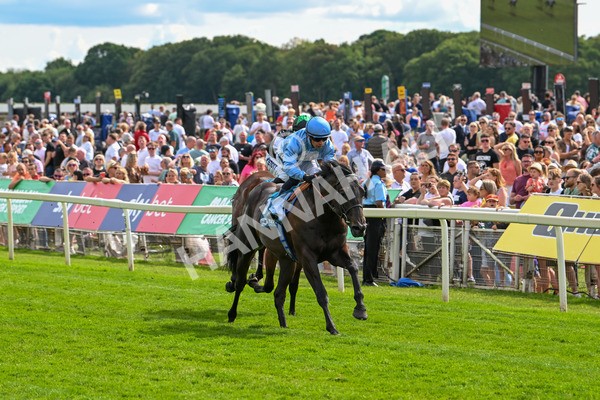 140625-Race 5-Egoli-3078 - Race 5 4.10pm Reg Griffin Appreciation EBFstallions.com Maiden Stakes