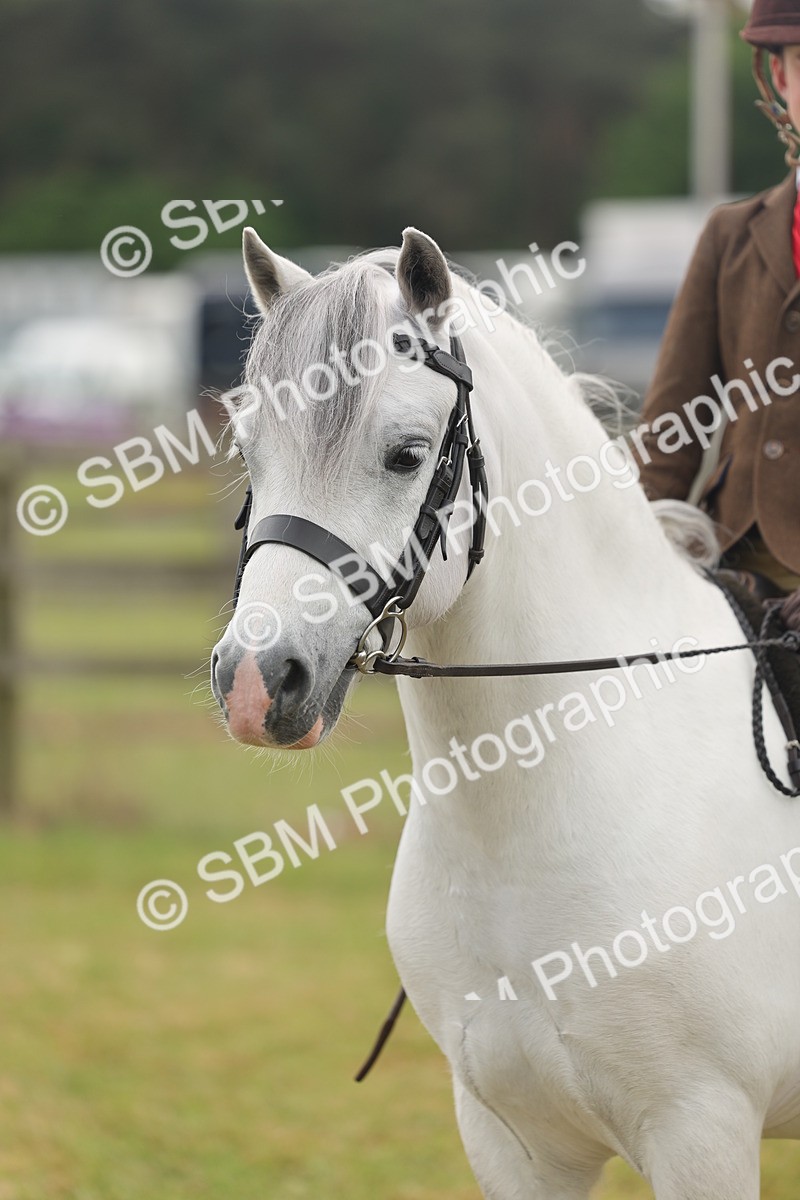 SBM_06883 - Class 74-75 - M&M Lead Rein and First Ridden Pony