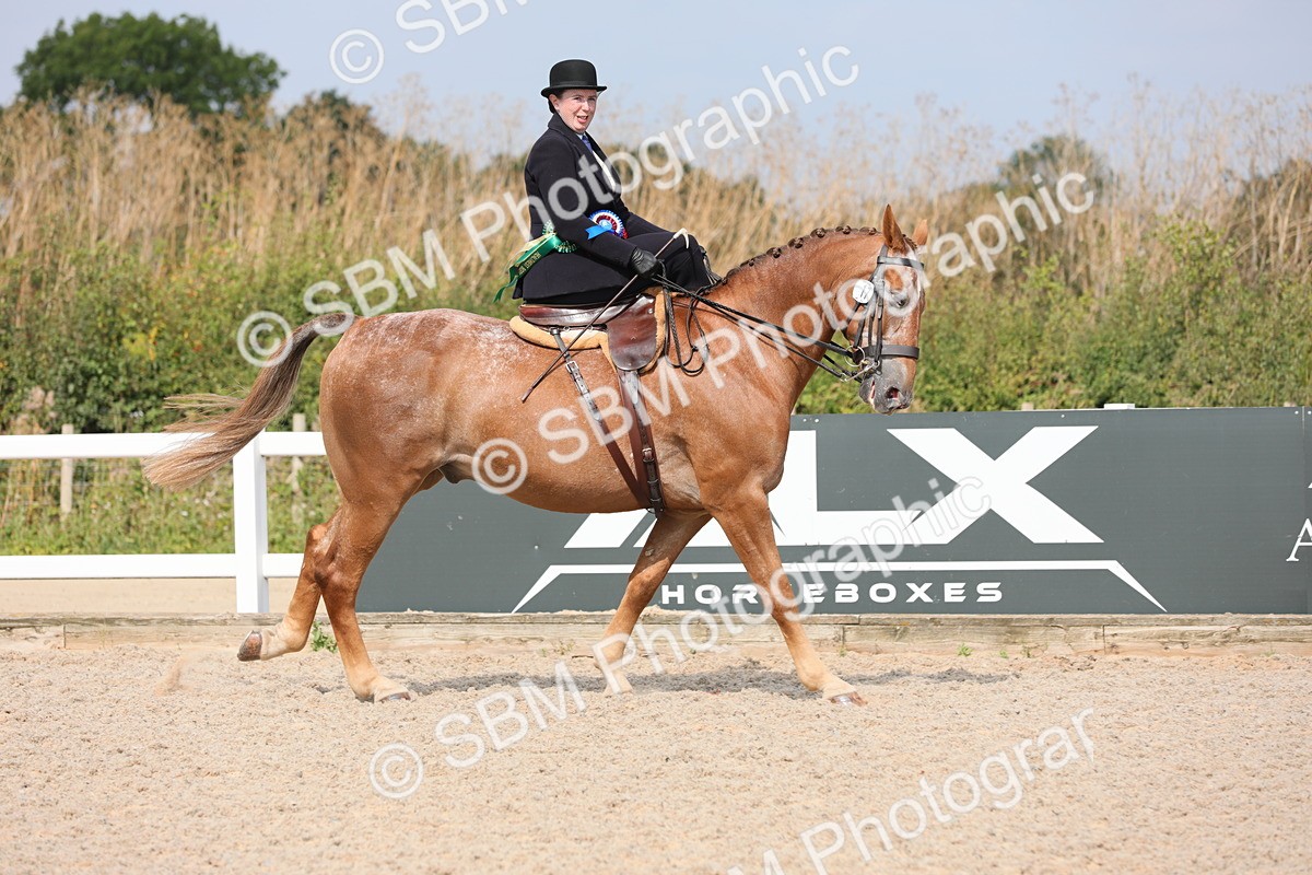 SBM_14647 - Class 211 Best Side Saddle Horse/Pony