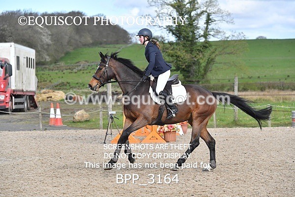 BPP_3164 - CLASS 1 Clear Round Show Jumping