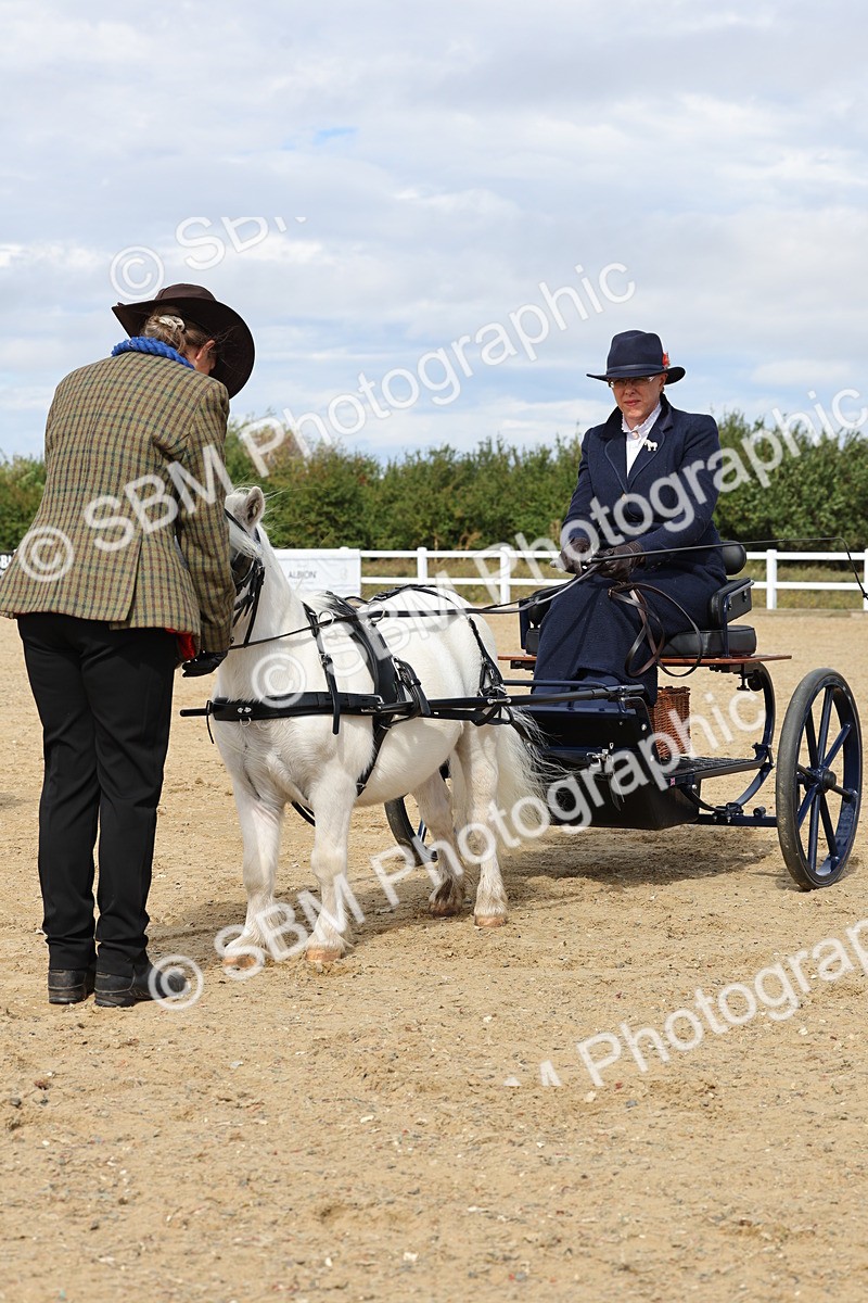 SBM_001083 - Class 14 - Shetland Ponies and Minatures