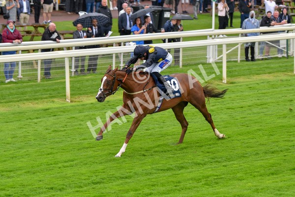 140723-Race 2-Swingalong-8130 - Race 2 2.40pm William Hill Summer Stakes