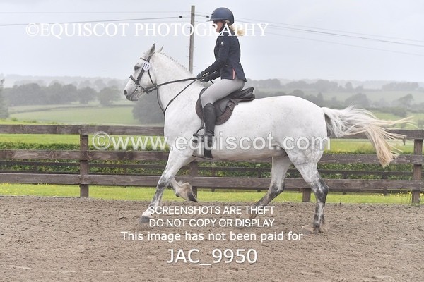 JAC_9950 - CLASS 3 Intermediate Working Hunter (0.70m - 0.85m)