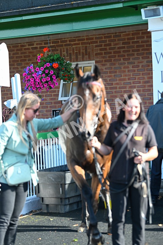 290825-Race 4-Eternal Sunshine-9216 - Race 4