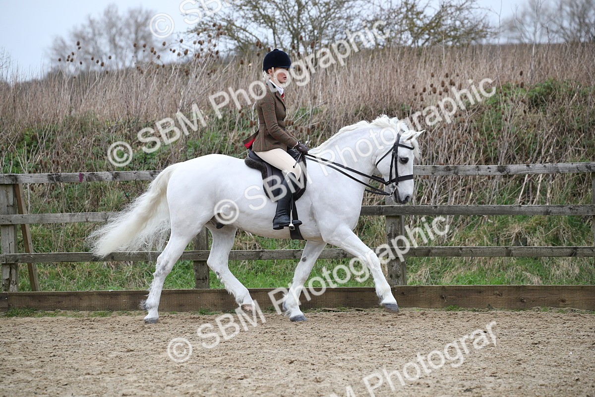 SBM_006298 - Class 10-13 - RIHS Small Large Breeds