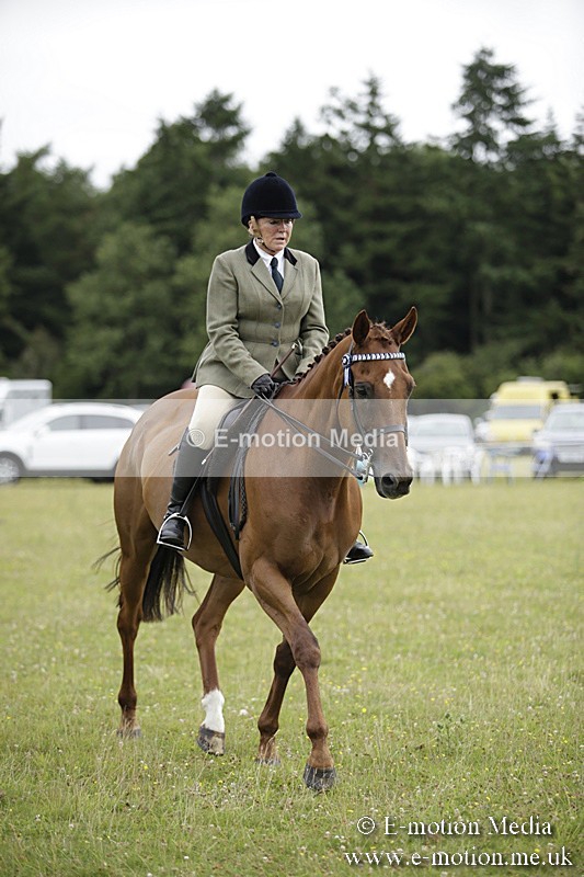 BVR160717-467 - Ring 1 BVRC Show 16/07/17