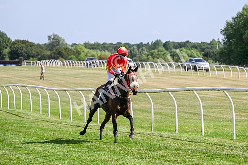080726-Race 5-Sugarpiehoneybunch-7561 - Race 5 16.00pm Bet At racingtv.com Handicap