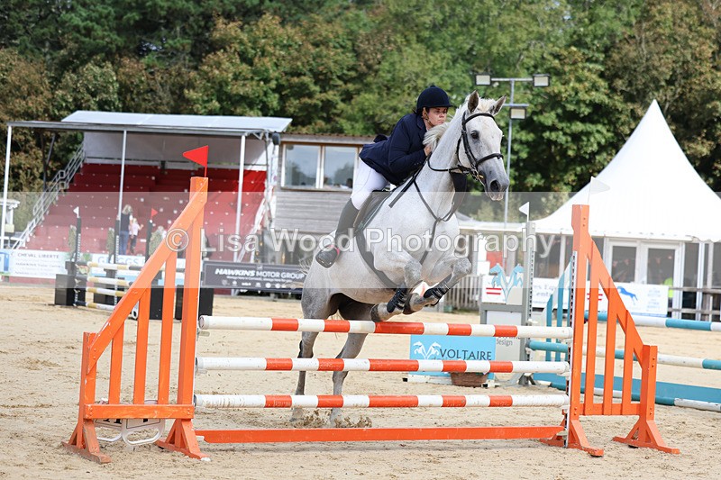 3E7A2011 - Class 4: Senior British Novice/90cm open