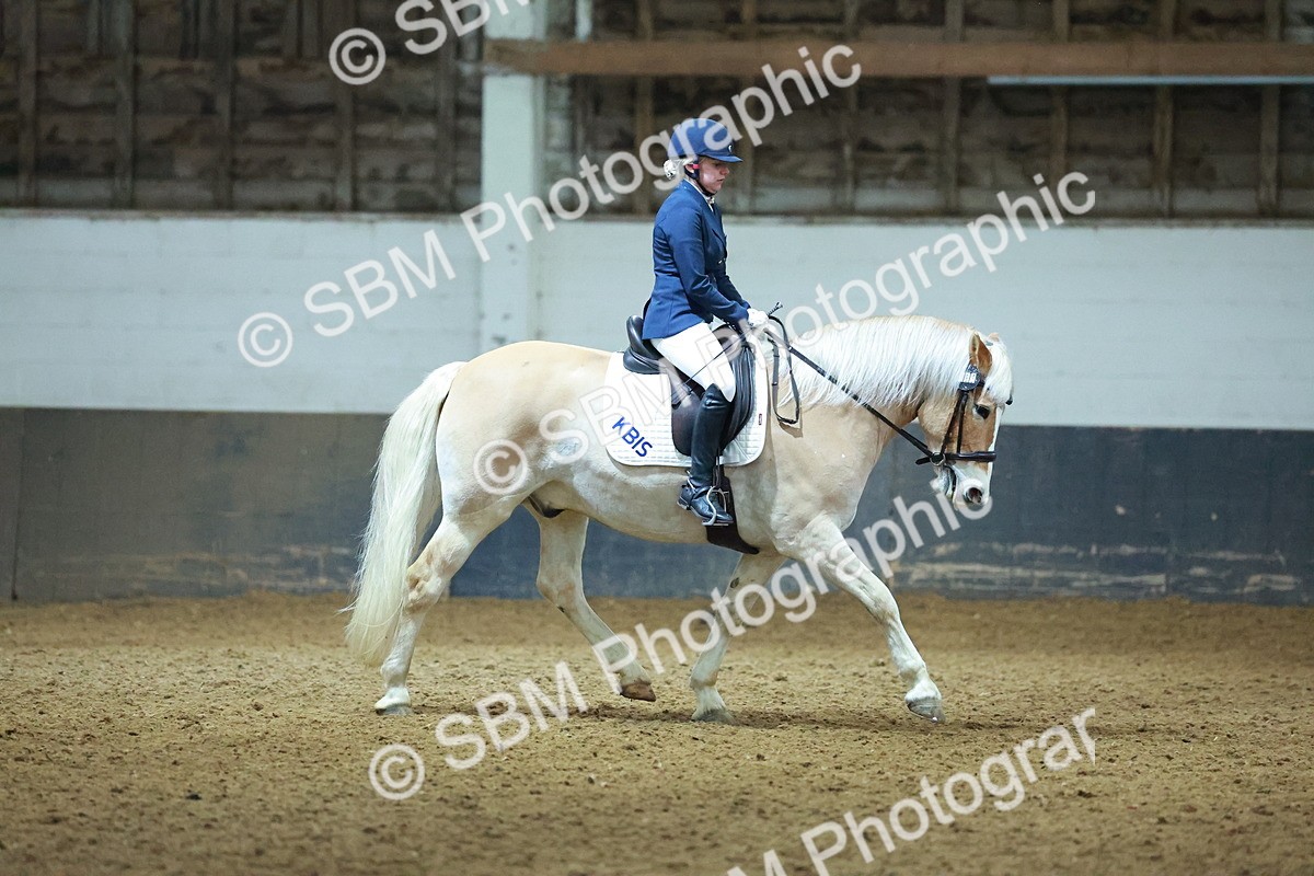 SBM_003920 - Novice 2