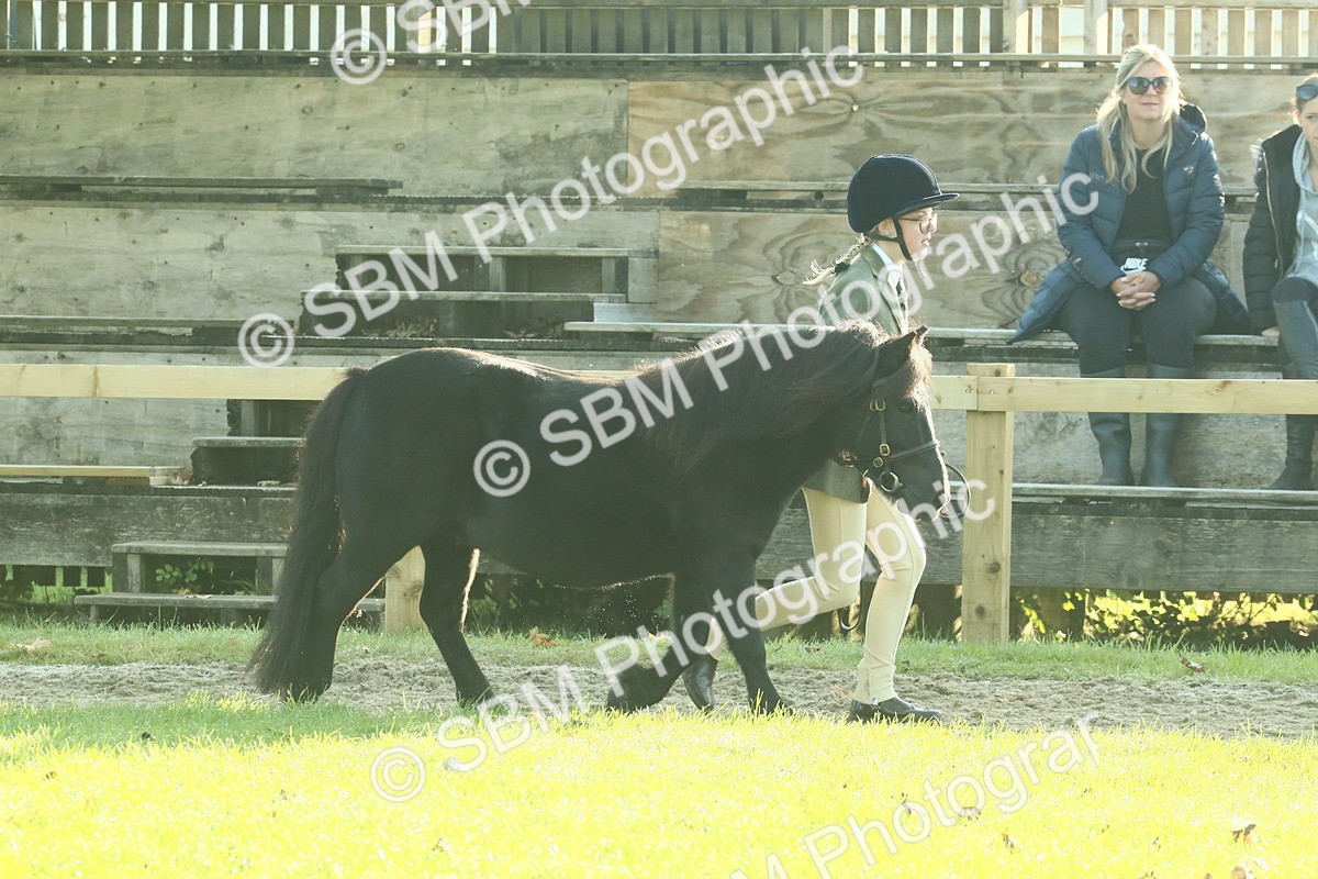 SBM_57391 - S37 - Starters In Hand Showing