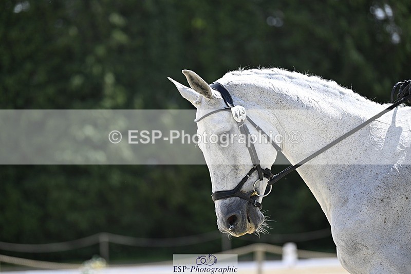 000101-192535-03949 - 423-DICTE_ALDRUP-Sara_Bech_Str├╕m