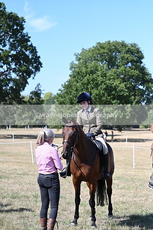 WJ7_1333 - Class 41 Prettiest Mare