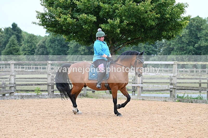 WJ7_8367 - Poles 11:00am