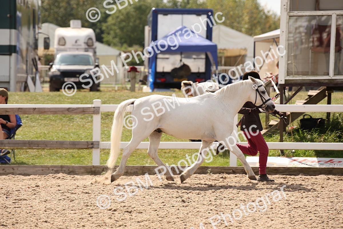 SBM_04577 - Class 20 IH Veteran