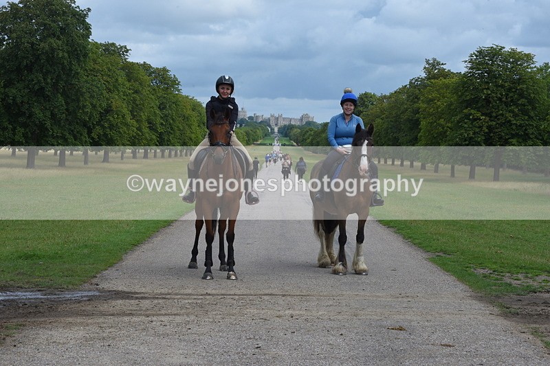 TT3_9139 - Time at Crossing 09:22 to 11:26