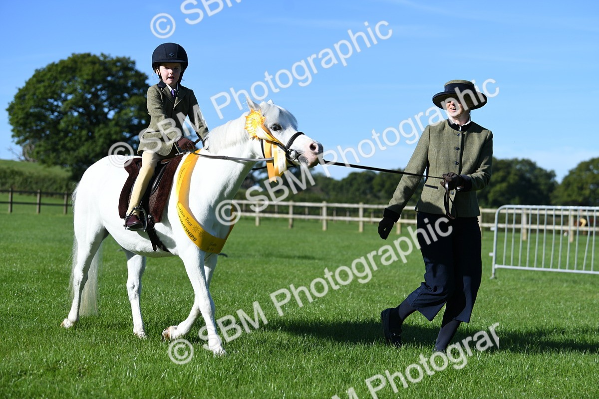 SBM_35508 - S17 - Condition & Turnout - Lead Rein
