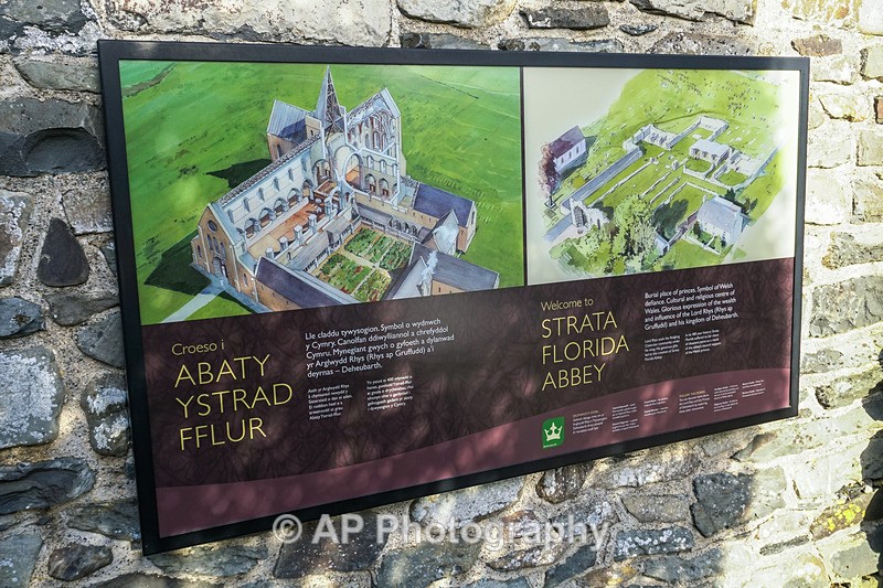 ACP02043-1 - Strata Florida Abbey