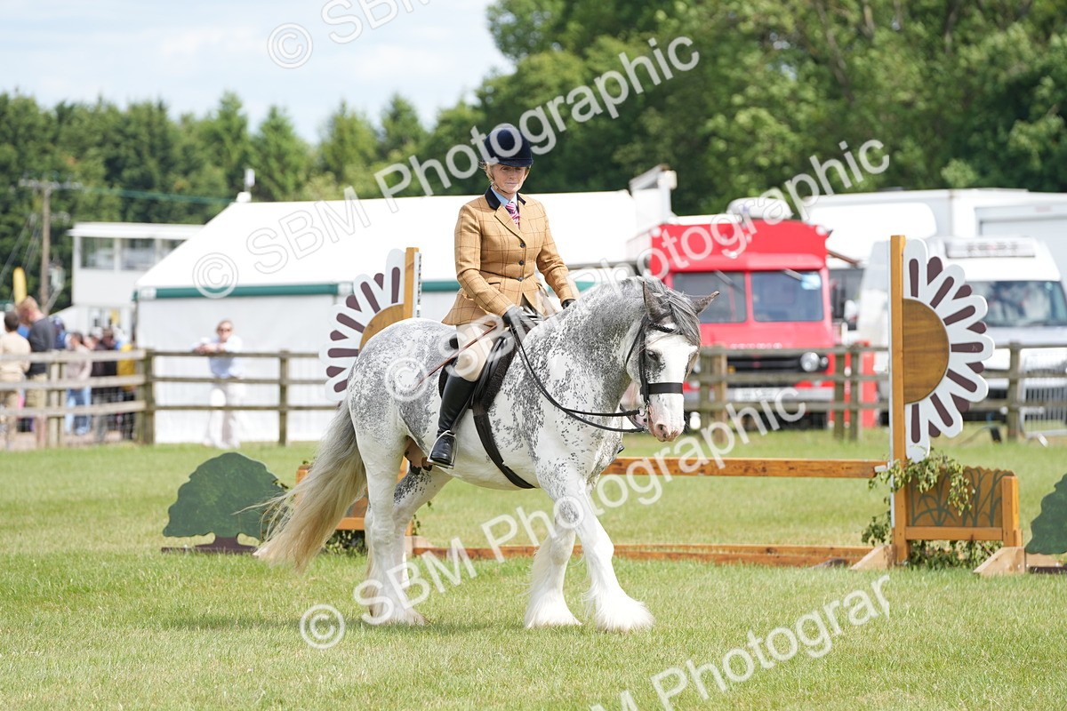 SBM_17264 - Class 107-108 - LIHS BSPS Performance Coloured Horse Pony
