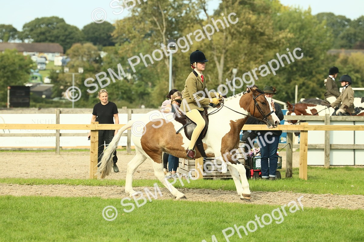SBM_68126 - S57 - Part Bred Pony Ridden