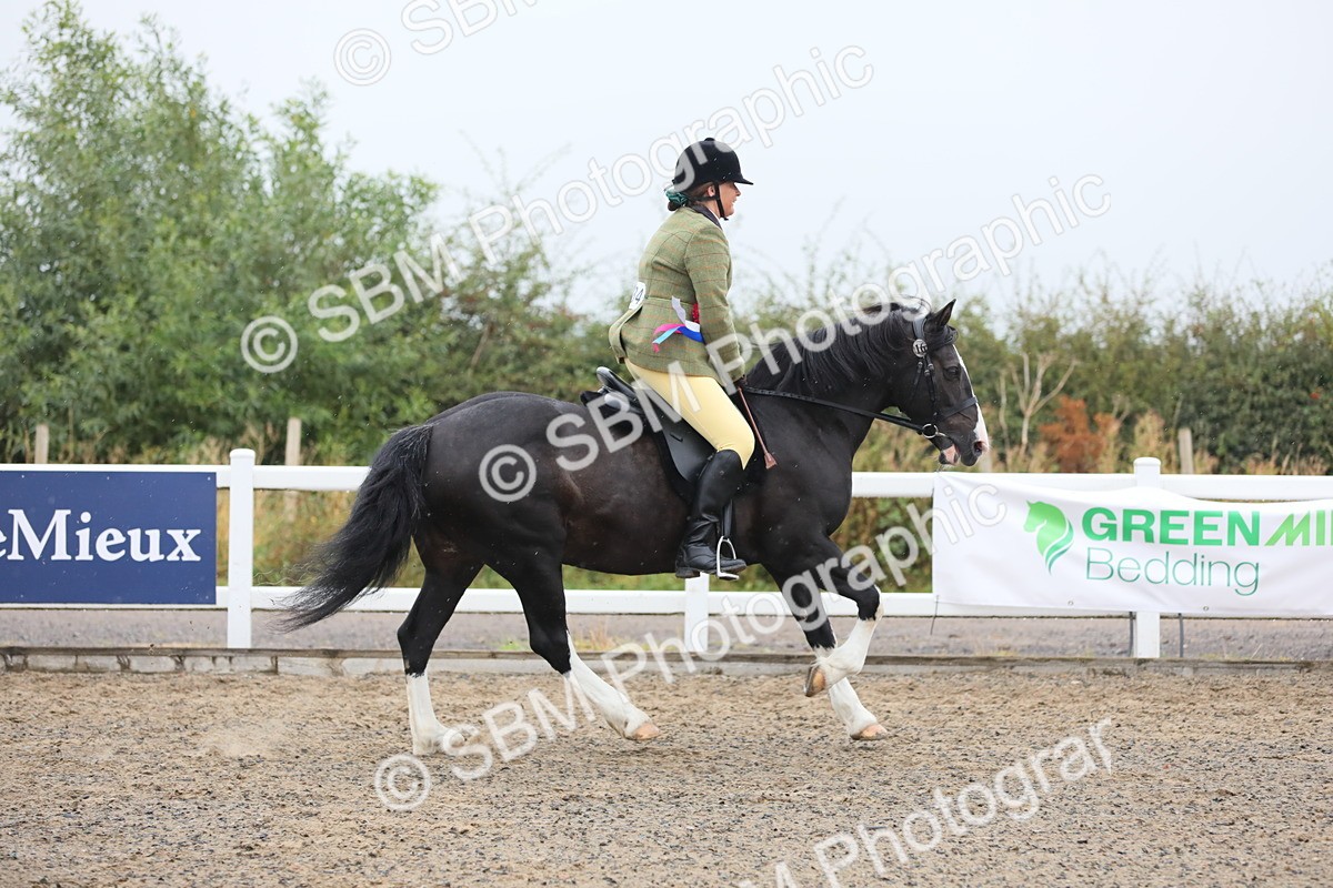 SBM_20102 - Class 802 - Ridden Groom - Helpers class