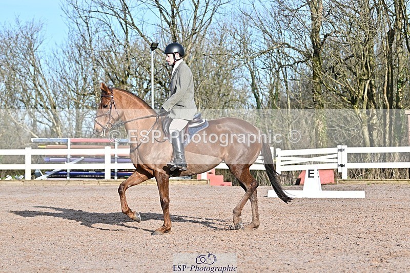250125-102347-00161 - Dressage - CT Class 4 BE95 (80cm)