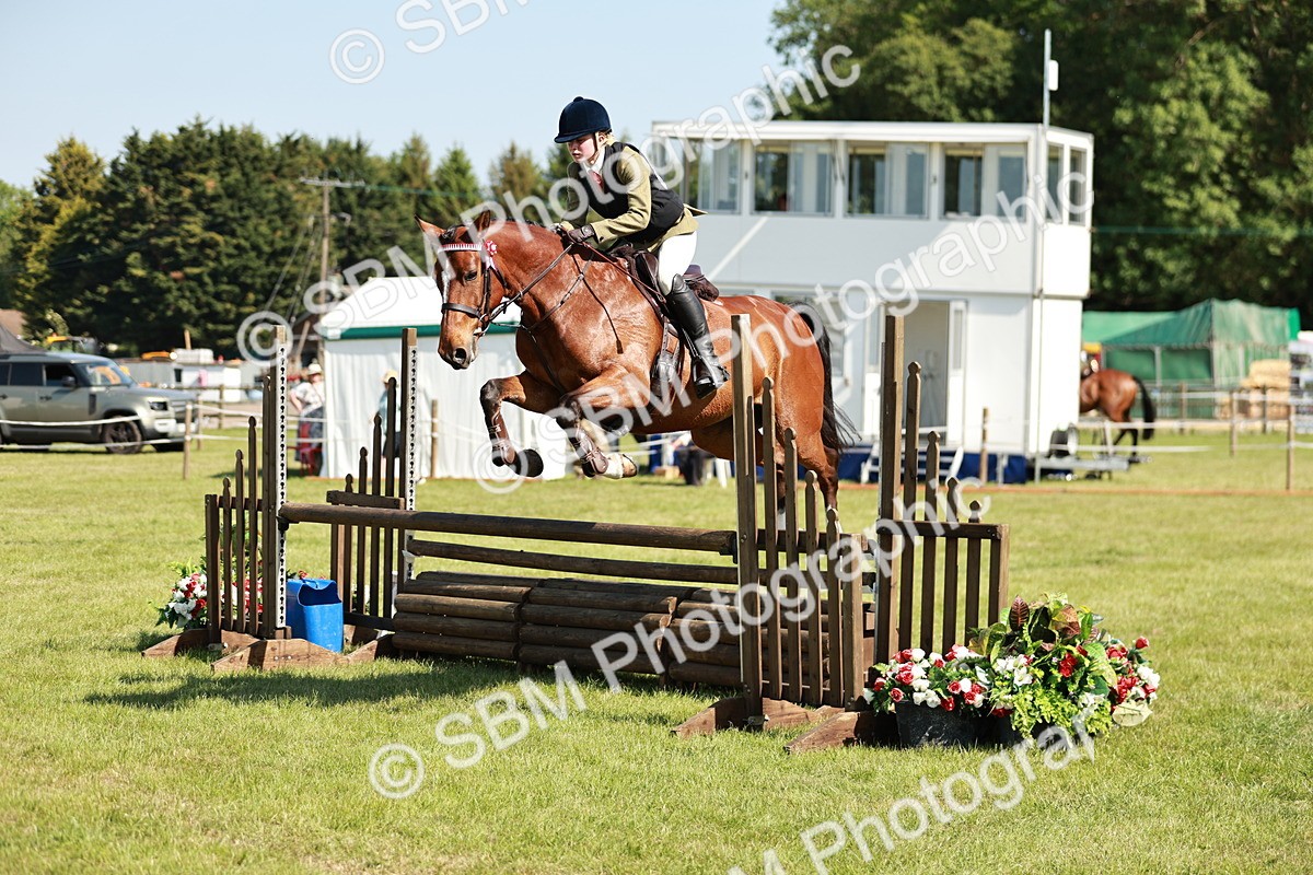 SBM_18810 - Class 114 - RIHS & SEIB Open Working Show Horse