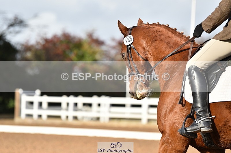 231104A-123304-01687 - Cls 8 Elementary 59