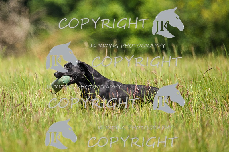 2R6A8638 - 36 Harriet