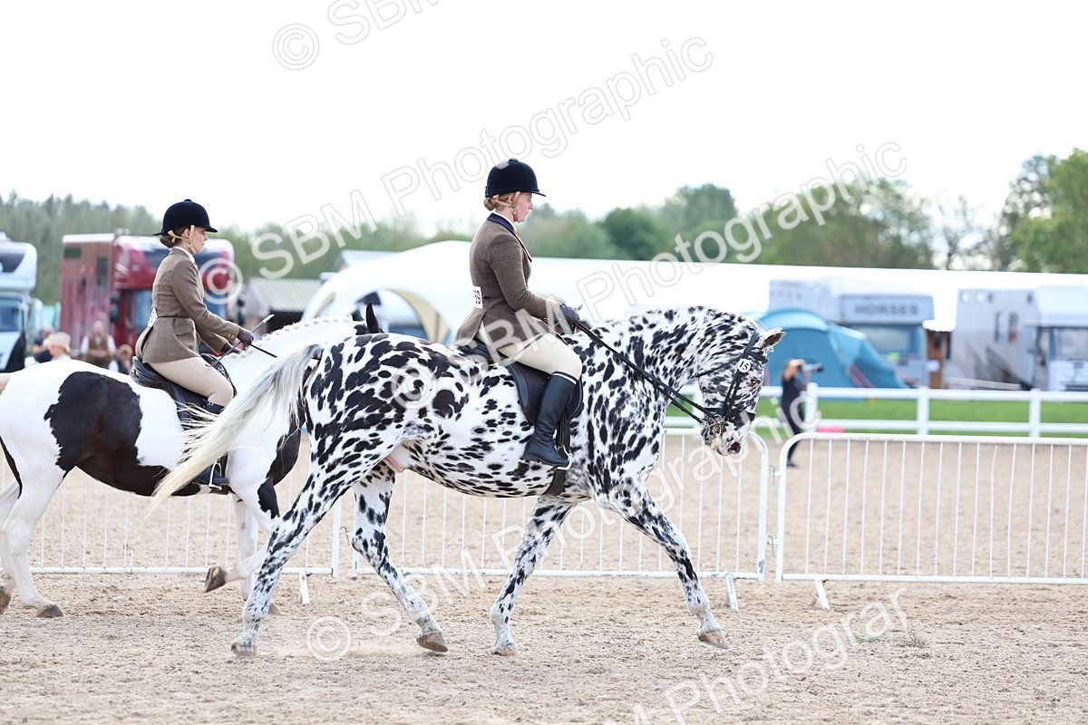 SBM_17083 - Class 315 - Best Horse - Rider Combination