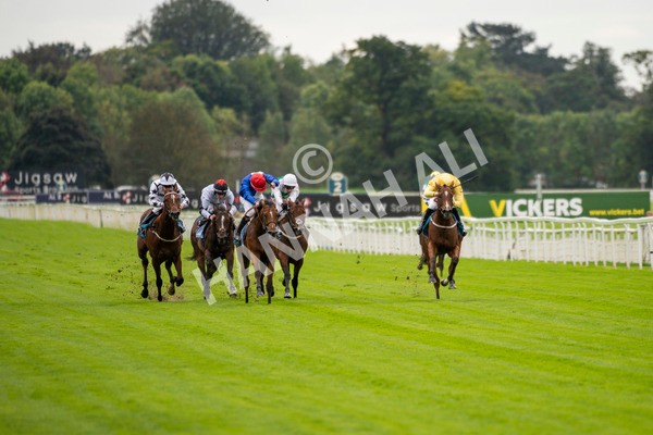 230923-Race 1-Invincible Molly-5559 - Race 1 2.00pm Jigsaw Sports Branding EBF Fillies' Novice Stakes