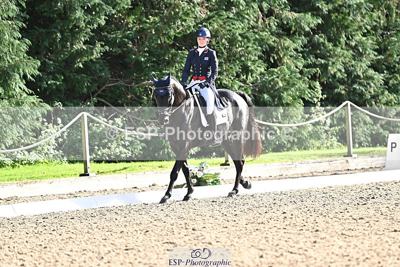 241023-143928-00571 - 002-Ellie.Fredericks-BRITANNIA'S.OLIVE